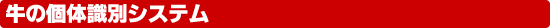 �̏�񎯕ʃV�X�e��